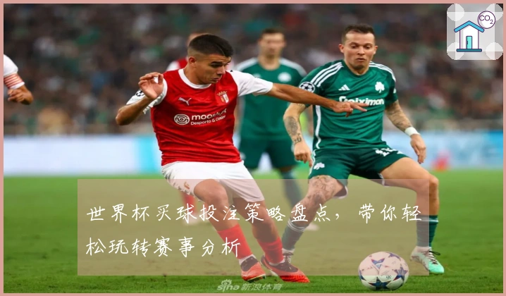 世界杯买球投注策略盘点，带你轻松玩转赛事分析