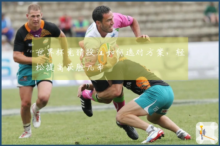 世界杯竞猜投注如何选对方案，轻松提高获胜几率
