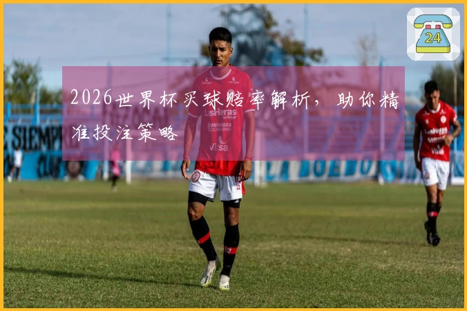 2026世界杯买球赔率解析，助你精准投注策略