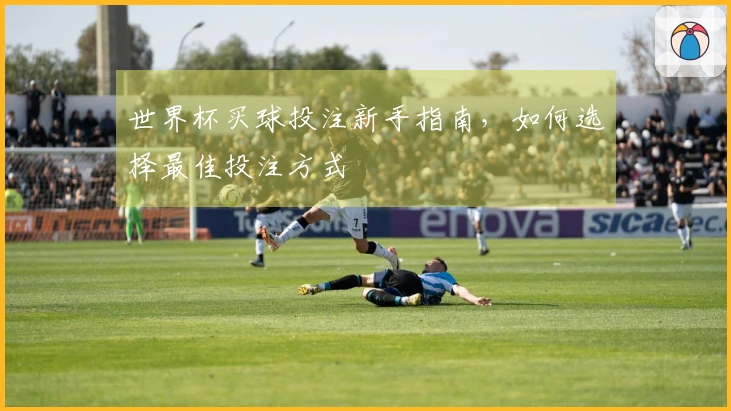 世界杯买球投注新手指南，如何选择最佳投注方式